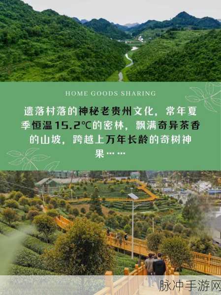 反差婊基地：反差婊基地：揭开双面人生的神秘面纱与真实探寻