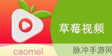 草莓视频官网i0S：探索草莓视频官网iOS：畅享无限精彩影视内容的最佳选择