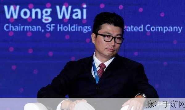 钟顺丰副总：钟顺丰副总：引领企业创新与发展的新战略探索