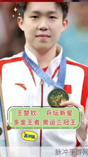 蔡振华 王楚钦：“蔡振华与王楚钦：乒坛新星的崛起之路”