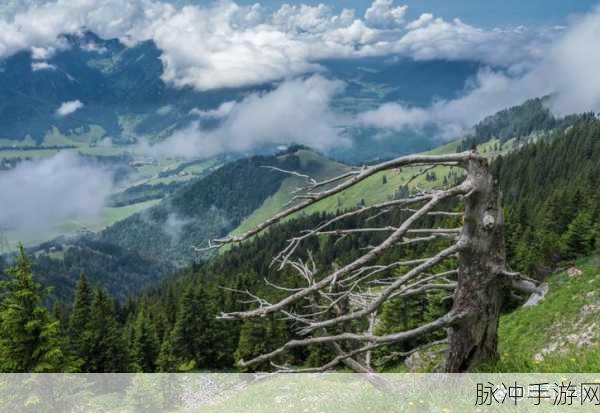 亚洲成色777777：“探索亚洲的魅力：777777种文化与风景的奇妙之旅”