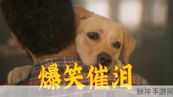 亚洲成色777777：“探索亚洲的魅力：777777种文化与风景的奇妙之旅”