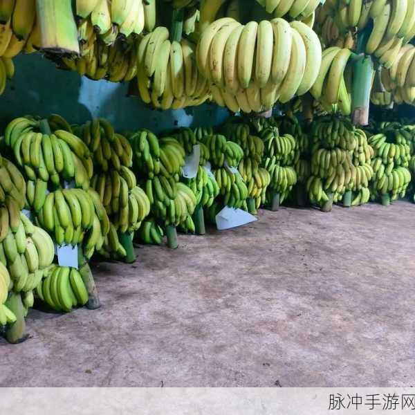 香蕉视频最新免费下载在线观看网址：最新香蕉视频免费下载观看网址分享，超多精彩内容等你来！