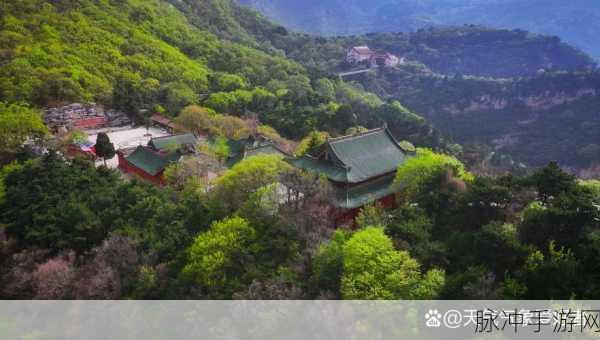 www.yxtea88：探索www.yxtea88：品味茶文化的独特魅力与精致体验