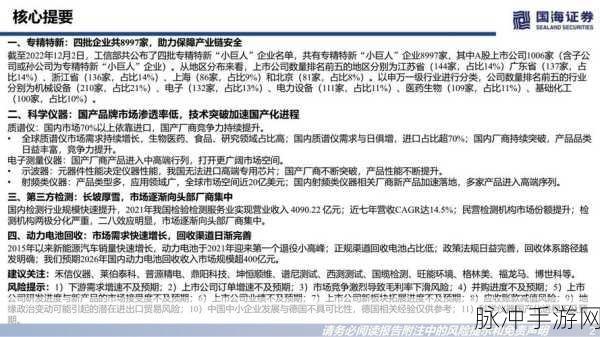 产精品：优化产业链，提升产品质量与市场竞争力的新策略探讨