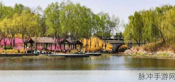 100款黄台免费入口：拓展100款黄台免费入口，畅享无限精彩内容与娱乐体验！
