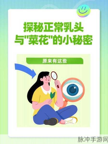 五十大免费禁用软件：探秘五十大免费禁用软件，了解背后的秘密与风险
