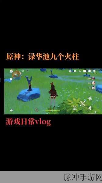 原神手游攻略，揭秘渌华池秘境点火顺序