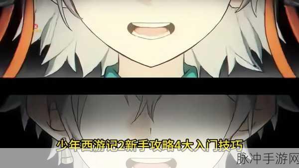 少年西游记快速升级攻略，秒升30级技巧全揭秘