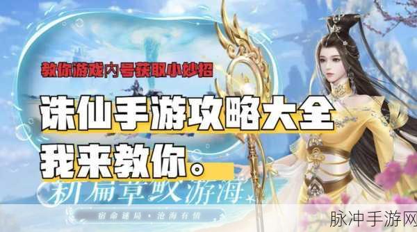 诛仙手游新手快速练级全攻略