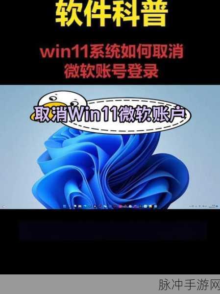 Win11系统下如何优雅退出Microsoft账户，畅享手游世界