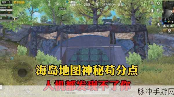 和平精英安全苟分全攻略，手游公司视角下的战术解析