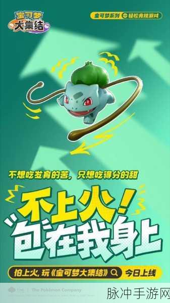 宝可梦大集结卡比兽持有物选择全攻略