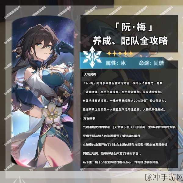 崩坏星穹铁道阮梅配队深度攻略