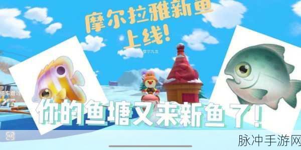 摩尔庄园手游，三文鱼的垂钓奥秘与技巧指南