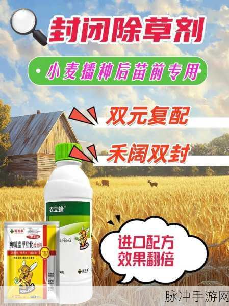 小森生活超级小麦的神奇用途大揭秘