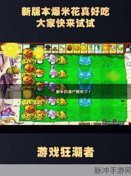 爆米花填充手游下载，清新画风与轻松玩法的趣味休闲闯关之旅