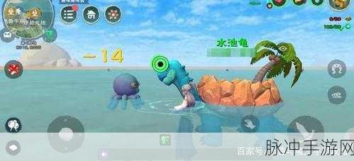 创造与魔法，彩壳龟位置全攻略