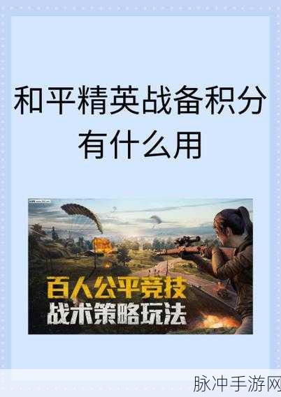 和平精英战备积分巧妙运用指南