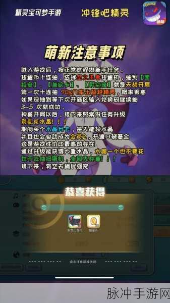 宝可梦大集结，闪电鸟玩法全攻略