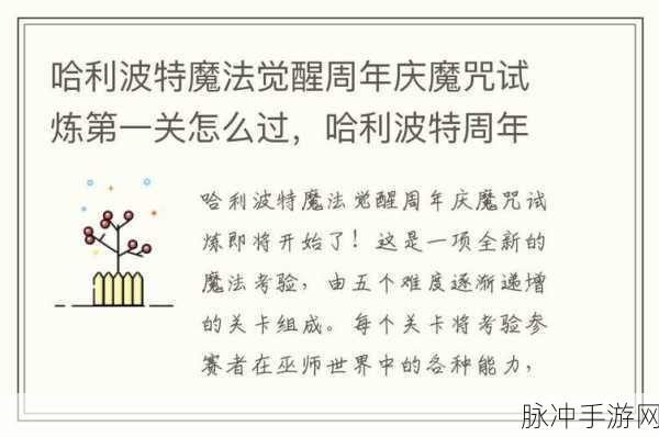 哈利波特魔法觉醒，幽灵骑士团魔咒试炼全解析