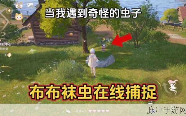 无限暖暖布布袜虫获取全攻略