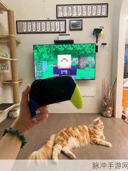 电玩街机手游中满是猫的隐藏地图探秘