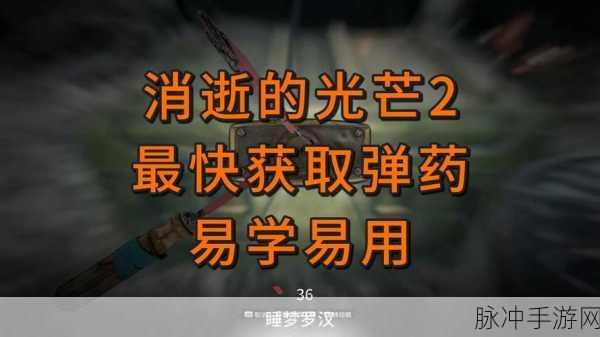 消逝的光芒手游，纸飞机的神秘获取秘籍