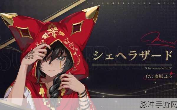 宿命回响，天方夜谭角色深度剖析与实力解读