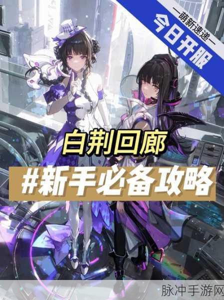 白荆回廊角色强度全解析及公测时间大揭秘