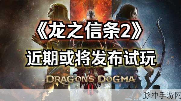 龙之信条 2PC 版帧数问题引关注 卡普空积极应对