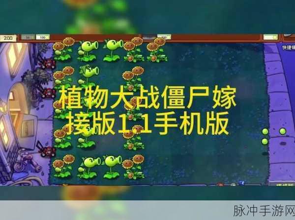 植物大战僵尸嫁接版九宫格自由嫁接秘籍大公开