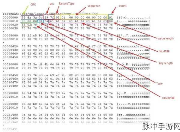 优秀驾驶员的养成之路，正式版下载及深度攻略解析