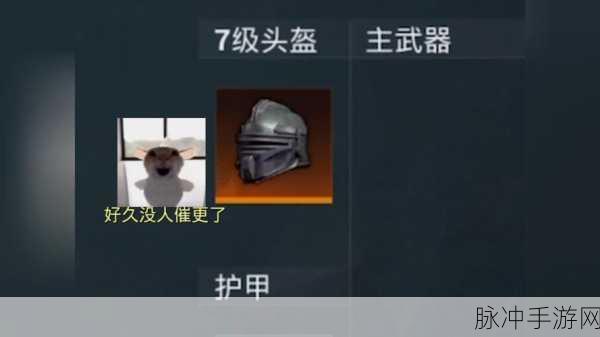 和平精英隐藏头盔设置全攻略
