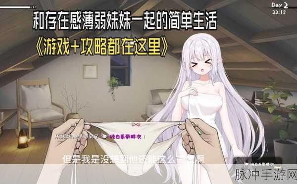 口袋少女2汉化版深度攻略，教科书版的妹妹养成手游体验