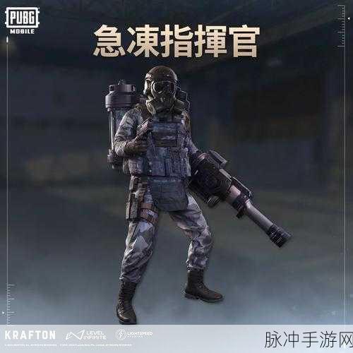 PUBG Mobile国际服安卓下载，探索精彩刺激的多人射击竞技世界