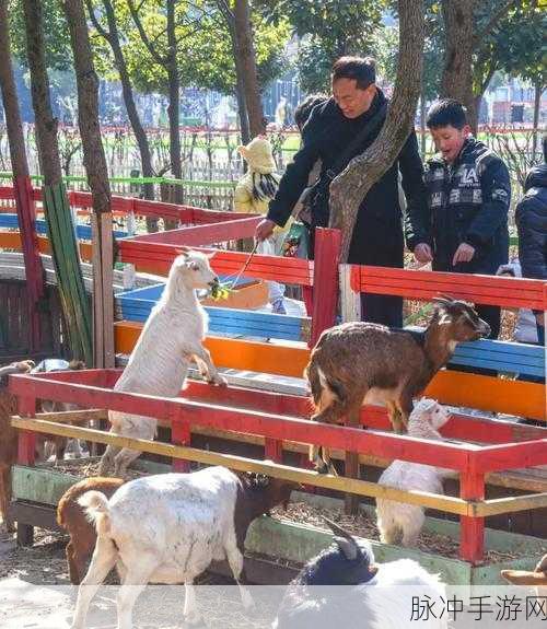 羊咩咩庄稼手机版下载，打造你的梦幻休闲农场