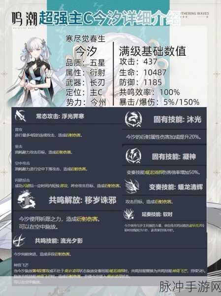 鸣潮手游白芷共鸣链添加及选择全攻略