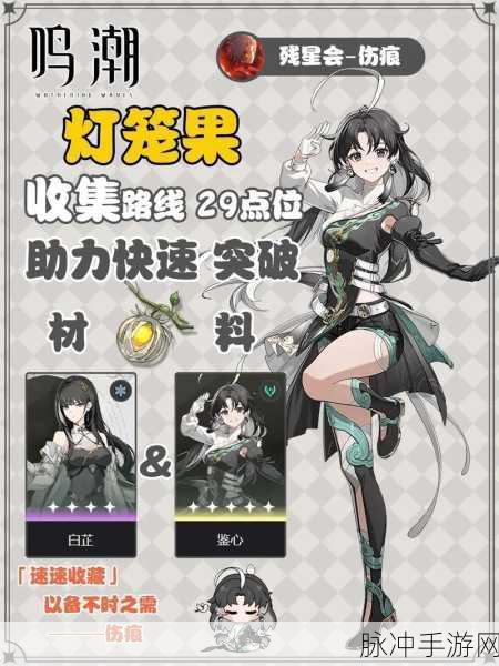 鸣潮手游白芷共鸣链添加及选择全攻略