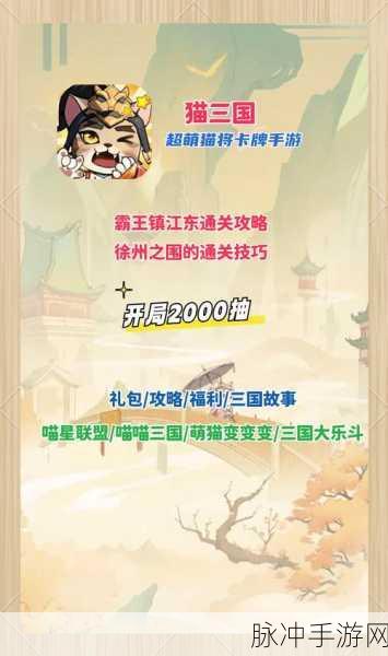 猫三国 2024 永久兑换码大揭秘及超强攻略