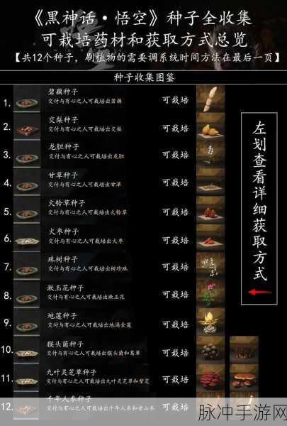 黑神话悟空不净获取全攻略指南
