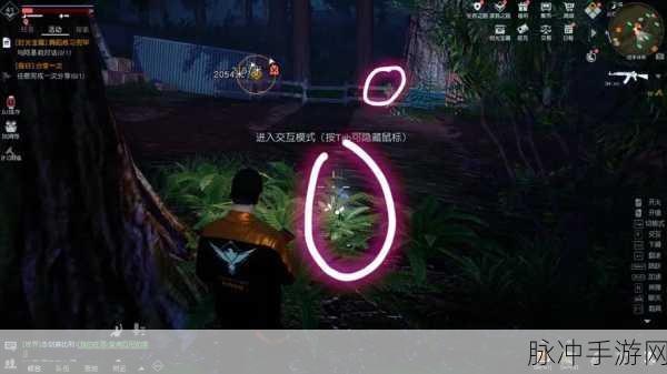 黎明觉醒，探寻拉布布宝物的神秘之旅
