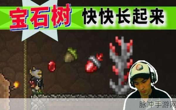 泰拉瑞亚手游，红宝石挖掘全攻略
