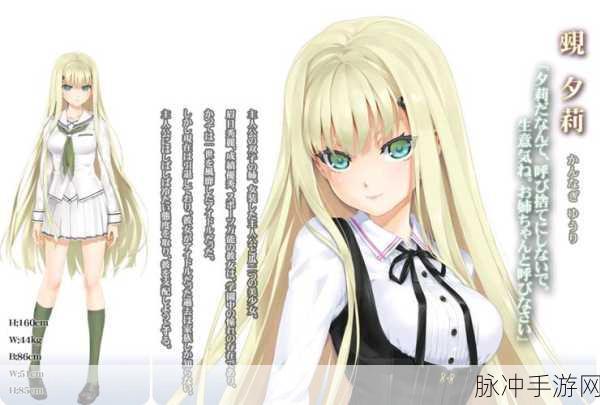 美少女万华镜异闻雪女全 CG 收集秘籍大公开