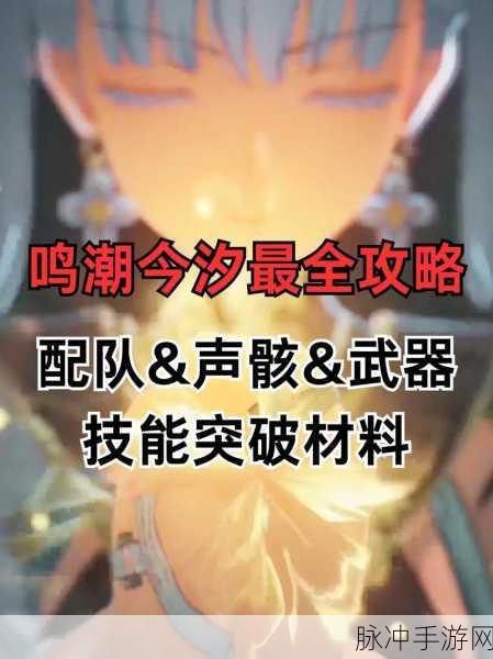 鸣潮今汐武器选择指南，打造最强战力