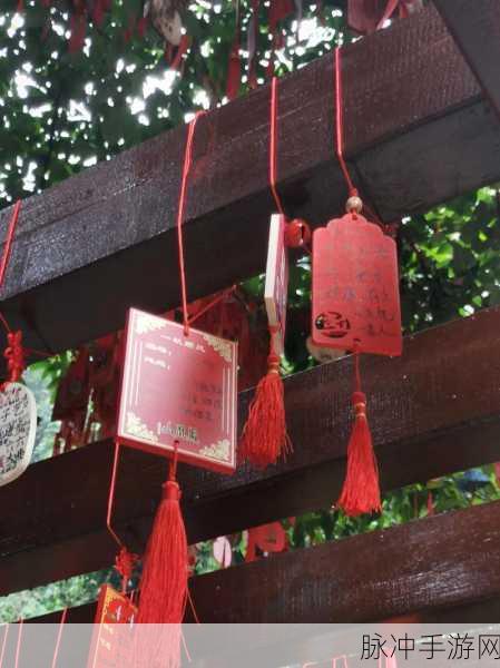 想不想修真 2024 年 99 个许愿码全攻略