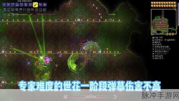泰拉瑞亚魔力花的神奇用途全解析