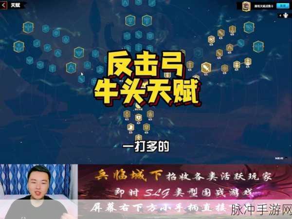 万龙觉醒,玩家克岚西宠物的最优抉择指南