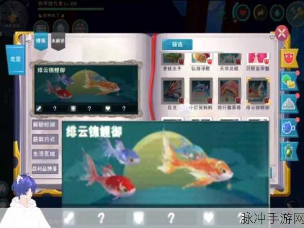 探索创造与魔法,永久坐骑兑换码全揭秘