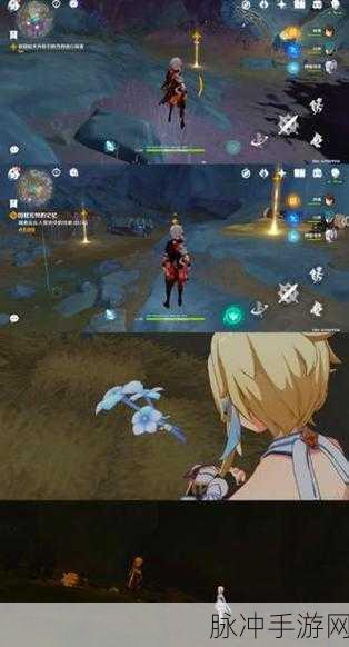 原神黑蛇骑士的荣光任务全解析